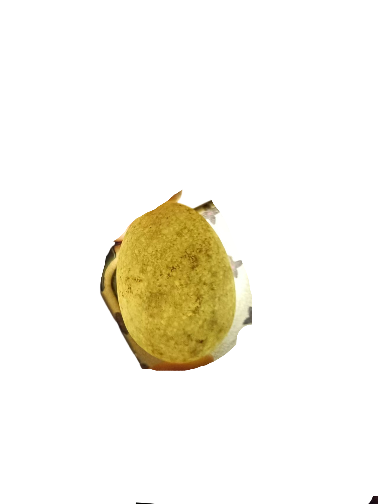 杂项A194
