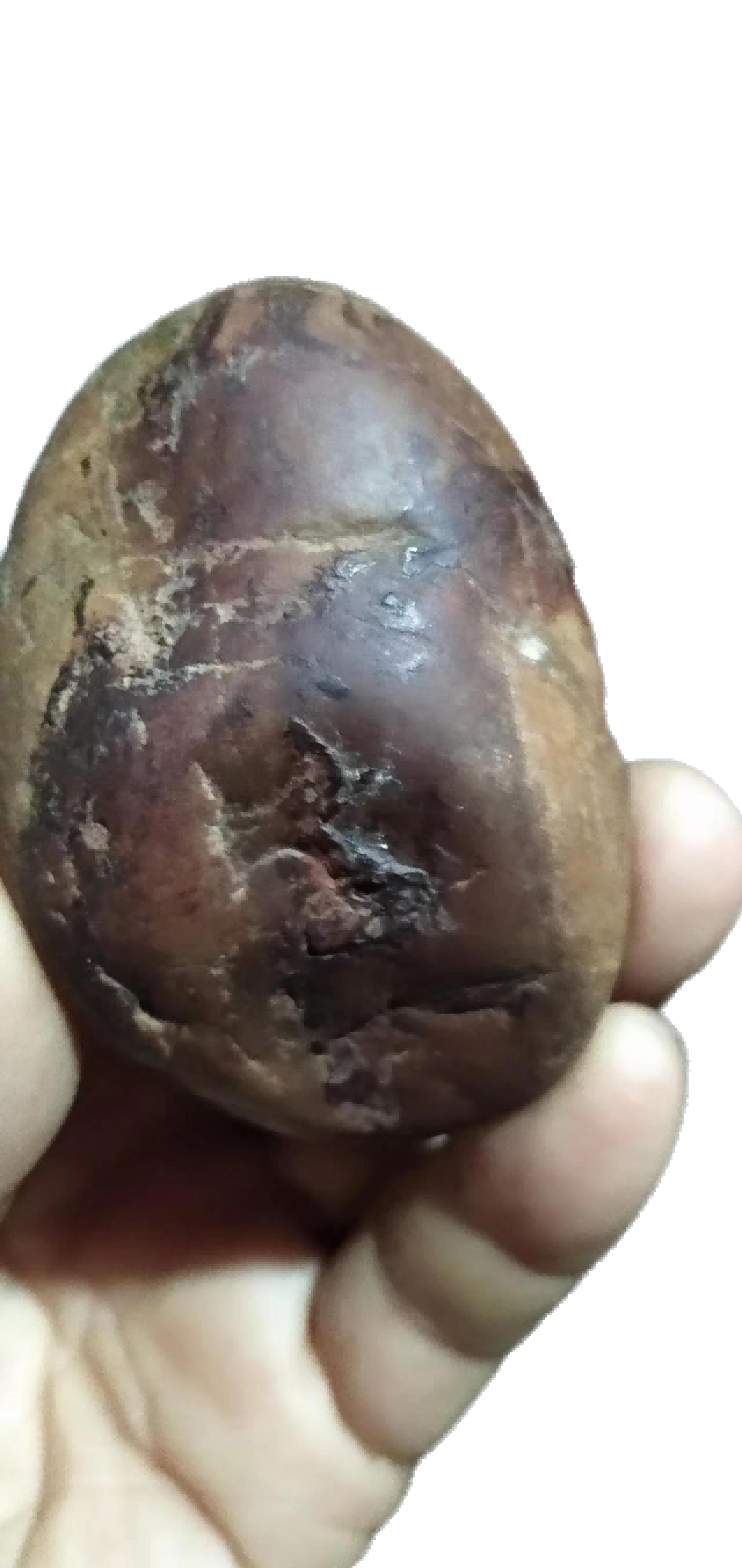杂项A821